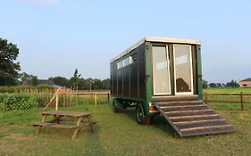 Slapen tussen de paarden